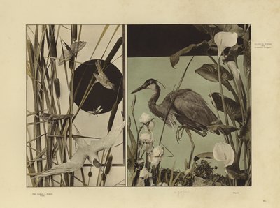 Un des Festons und Decorative Gruppen de Martin Gerlach - Martin senior Gerlach