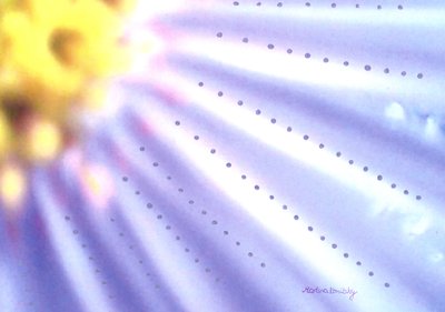 Fleur bleue - Martina Konitzky