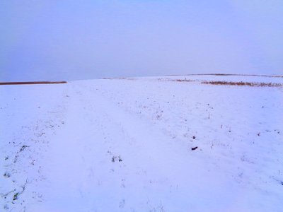 Champs en hiver - Martina Konitzky