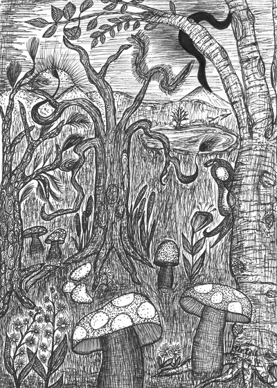 Paysage avec champignons - Martina Konitzky