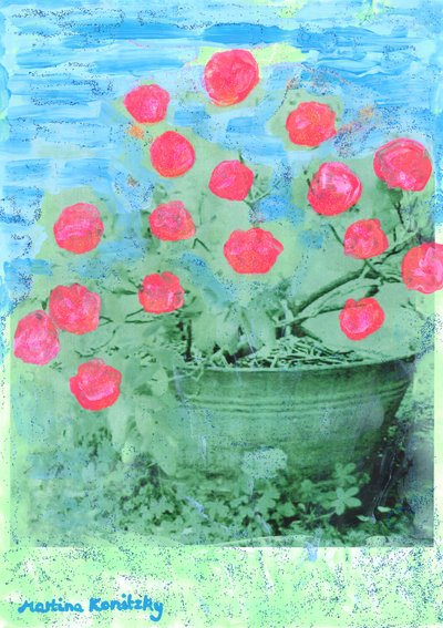 Rhododendron - Martina Konitzky