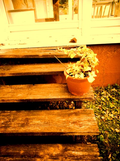 Escalier de véranda - Martina Konitzky