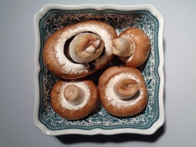 Villeroy und Boch Porzellan mit Pilzen - Martina Konitzky