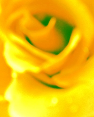 Jaune - Martina Konitzky