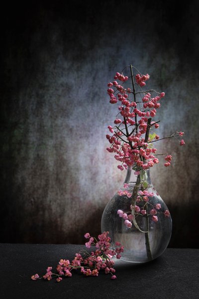  - Martine Benezech