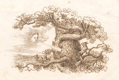Illustration pour "Halvhundrede Fabler for Børn" de Hey - Martinus Rørbye