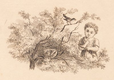 Illustration pour "Cinquante Fables pour Enfants" de Hey - Martinus Rørbye
