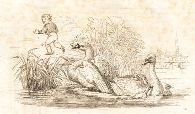 Illustration de "Cinquante Fables pour Enfants" de Hey - Martinus Rørbye