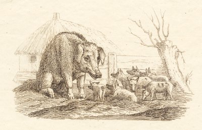 Illustration de "Halvhundrede Fabler for Børn" de Hey - Martinus Rørbye