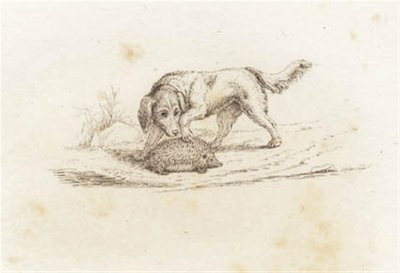 Illustration pour "Cinquante fables pour enfants" de Hey - Martinus Rørbye
