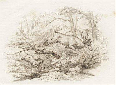 Illustration pour "Cinquante fables pour enfants" de Hey - Martinus Rørbye