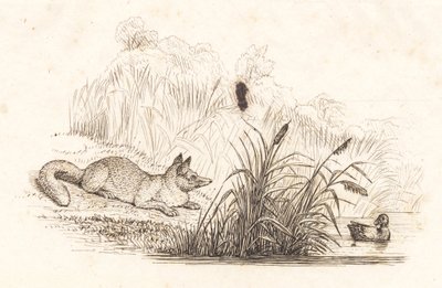Illustration pour "Cinquante fables pour enfants" de Hey - Martinus Rørbye