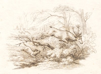 Illustration pour "Cinquante fables pour enfants" de Hey - Martinus Rørbye