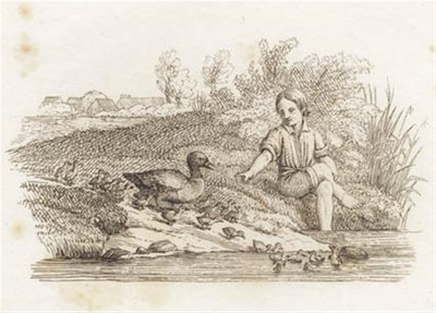 Illustration pour "Cinquante Fables pour Enfants" de Hey - Martinus Rørbye