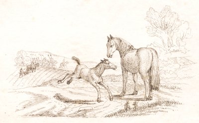 Illustration pour "Cinquante fables pour enfants" de Hey - Martinus Rørbye