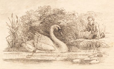 Illustration pour "Halvhundrede Fabler for Børn" de Hey - Martinus Rørbye