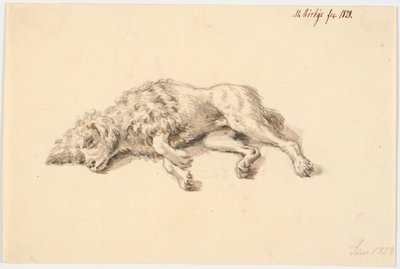 Caniche couché - Martinus Rørbye