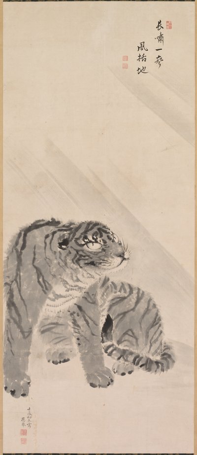 Tigre dans le vent et la pluie - Maruyama Okyo