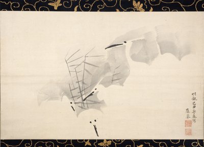 Hérons blancs - Maruyama Okyo