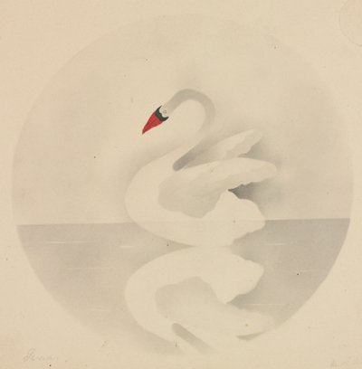 Cygne - Mary Altha Nims