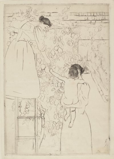 Récolte de fruits, vers 1893 - Mary Cassatt