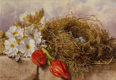 Nature morte de tulipes en fleurs et un nid d