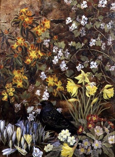 Fleurs de printemps - Mary Ensor