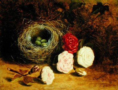 Nature morte de nid d