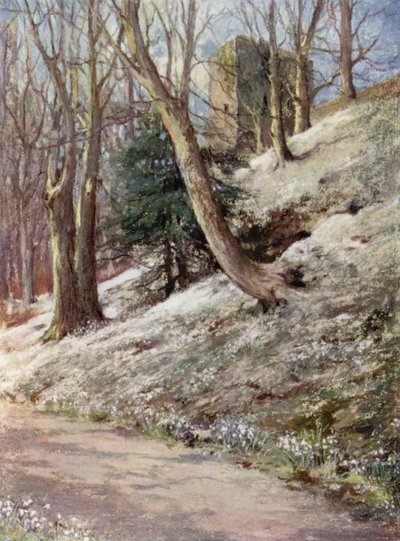 Jardins Écossais : Ardgowan - Mary Georgina Wade Wilson