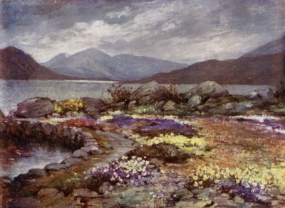 Jardins écossais : Corrour - Mary Georgina Wade Wilson