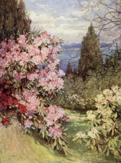 Jardins écossais : Stonefield - Mary Georgina Wade Wilson