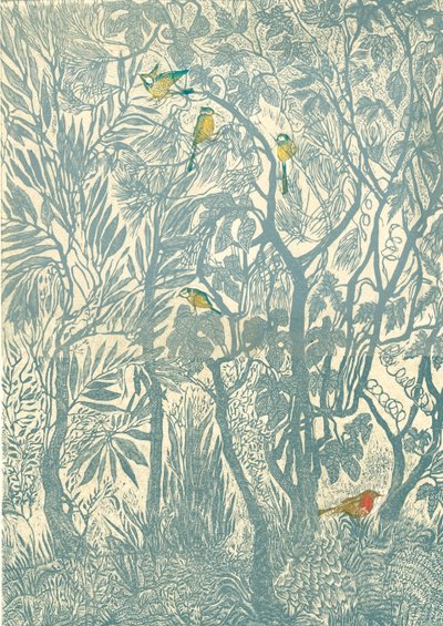 Observation des oiseaux depuis la fenêtre de la cuisine : rouge-gorge, 2012 - Mary Kuper