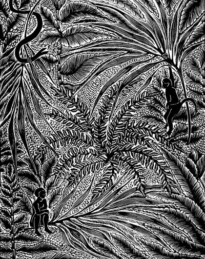 Jungle - Mary Kuper