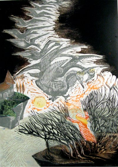 Les cygnes sauvages - Mary Kuper