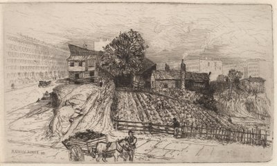 Une ferme urbaine—New York - Mary Nimmo Moran
