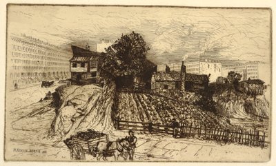 Une ferme urbaine, New York - Mary Nimmo Moran