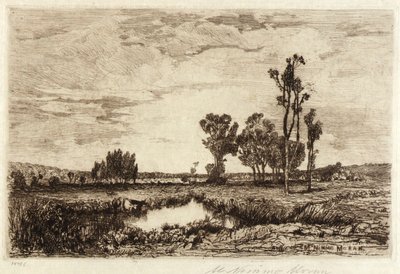 Bétail dans un étang - Mary Nimmo Moran