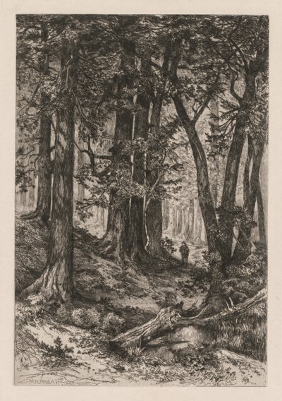 Intérieur d