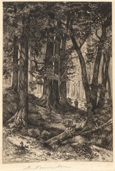 Sans titre (Scène de forêt) - Mary Nimmo Moran