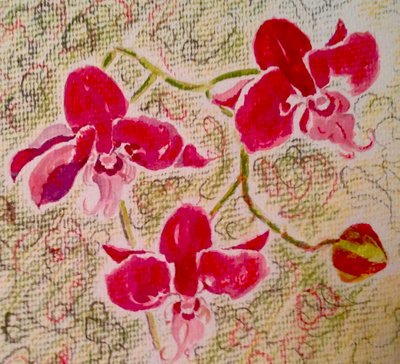 Orchidées - Mary Smith