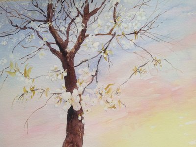 fleur de cerisier blanc - Mary Smith