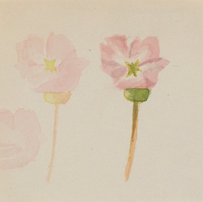"Ma première peinture - Mary Vaux Walcott