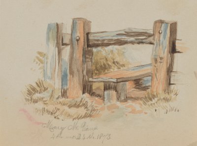 Sans titre (Stile) - Mary Vaux Walcott