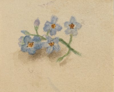 Sans titre, 1874 - Mary Vaux Walcott