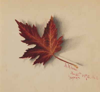 Feuille d