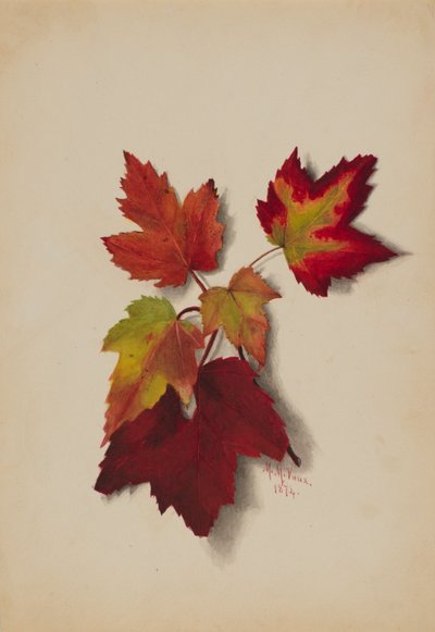 Sans titre, Feuilles d