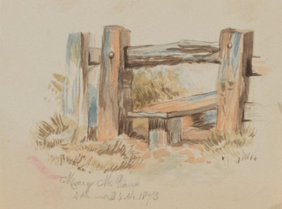 Sans titre, 1873 - Mary Vaux Walcott