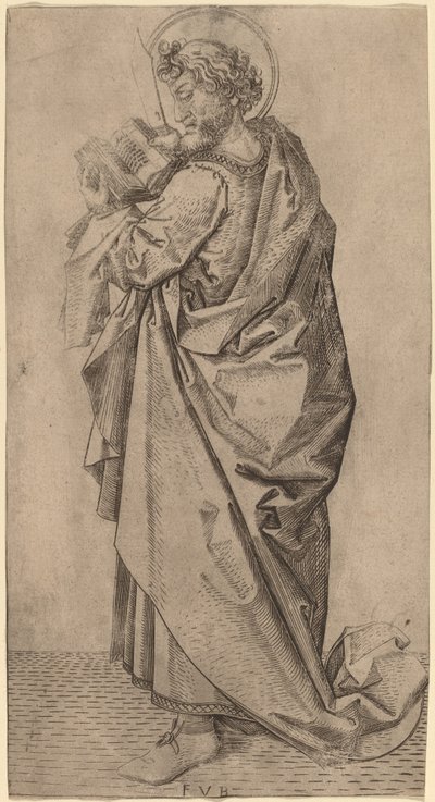 Saint Barthélemy - Master FVB