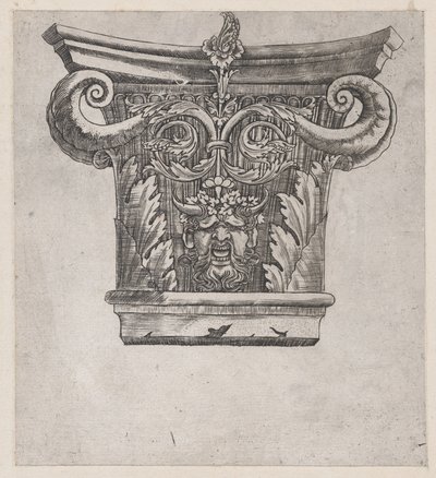 Speculum Romanae Magnificentiae: Chapiteau avec volutes de gousse de pois et tête de satyre, vers 1537 - Master GA