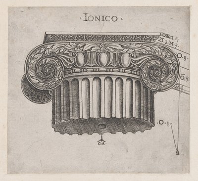 Speculum Romanae Magnificentiae : Chapiteau ionique, vers 1537 - Master GA